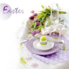 S.O.S.: Intoxicatia cu oua!