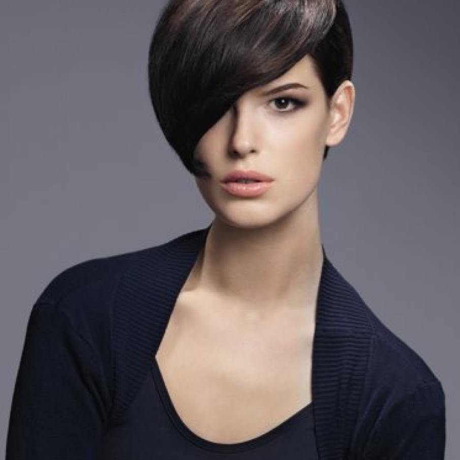 Brun Brosse cu reflexe