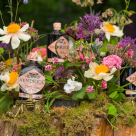 Alexandrion Group a dezvăluit noul Hendrick’s FLORA ADORA în ediție limitată, publicului din România