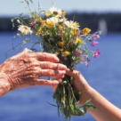 Tupeul nebun de a spune multumesc 