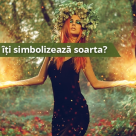 Oracolul Druizilor: Ce copac sacru iti simbolizeaza soarta? 