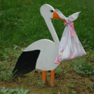 Ce trebuie sa stii inainte sa nasti...