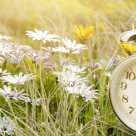 Planificarea de Primavara: Cum sa-ti faci ordine in buget si in cheltuielile lunare