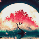 Cele 2 Sfaturi foarte PUTERNICE ale Universului pentru fiecare zodie la final de 2022