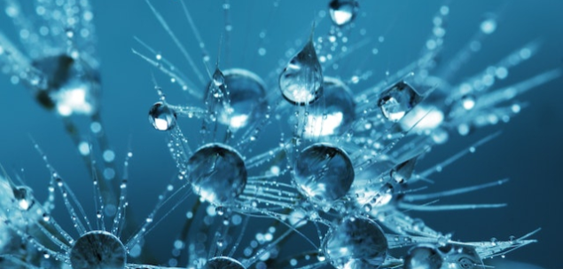 Care dintre aceste obiecte crezi ca iti aduce noroc?