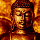 Eu nu o sa fiu niciodata un om sarac 