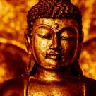 Eu nu o sa fiu niciodata un om sarac 