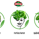 Prietenii din Cercul Verde și viața urbană