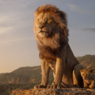 'The Lion King / Regele leu', o frumoasă animație live-action 