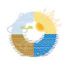 Cele mai usoare tratamente naturiste