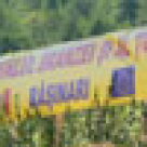 Inedit: poze de la festivalul branzei si al tuicii!