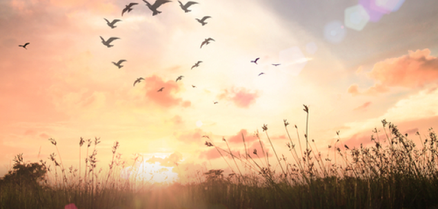 Unde ti-ai dori sa traiesti?