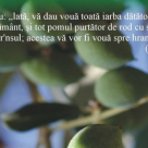 Plante si miresme biblice. Hrana pentru suflet si trup