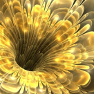 Horoscop: Floarea astro-magica a zodiei tale 