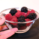 Crema de fructe de padure