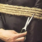 Secretul succesului la birou. Cum sa-ti pui inteligenta emotionala in slujba eficientei tale si a celorlalti 