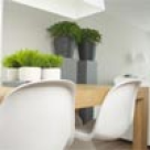 Curatenia excesiva ne imbolnaveste 