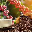 7 curiozități despre cafea - una dintre cele mai populare băuturi din lume