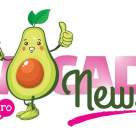 Jurnalul AVOCADO NEWS, proiect educațional realizat în parteneriat de Școala TV Dicție.ro și Metropola TV