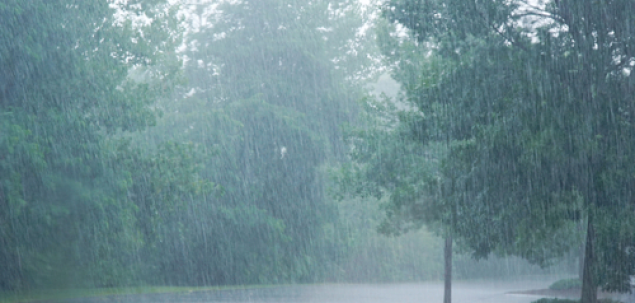 Cum te simti in zilele ploioase?