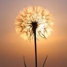 Saptamana 15 - 21 septembrie: Gandul norocos al zilei 