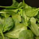 Sarmale in foi de spanac