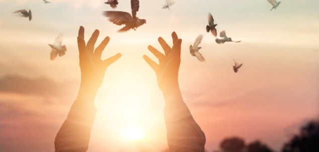 Pentru ce esti recunoscatoare Universului?