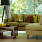 Ghid Feng Shui de intrebuintare a verdelui in locuinta