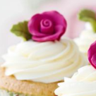 Prajituri de vara in 3 carti cu retete