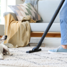 Top 5 aspiratoare care curăță și părul de animale din locuință