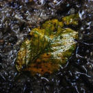 Minighid de uitare a unui barbat