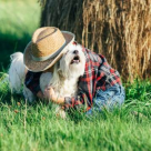 Te topesti: 15 fotografii minunate care surprind prietenia dintre copii si animalute
