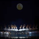 Lacul Lebedelor, cel mai faimos spectacol de balet din lume, revine pe 2 martie în București