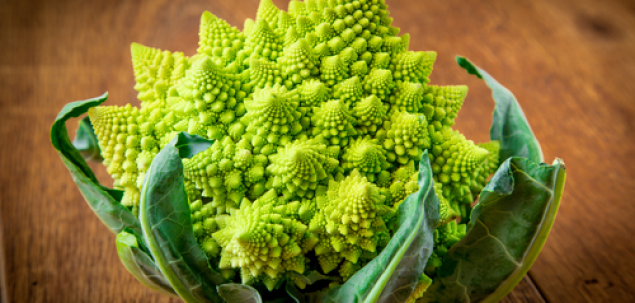 Ce este aceasta leguma?