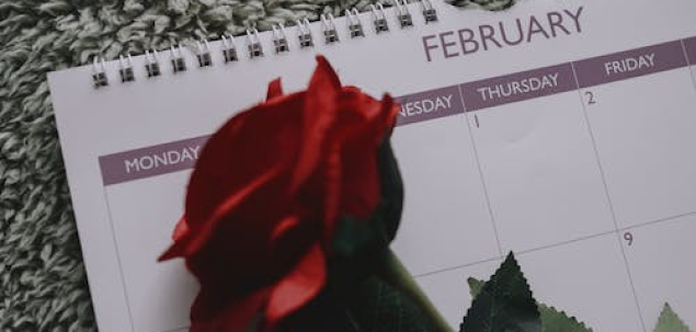 Cum a fost luna februarie pentru tine?