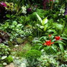 Fashion, Fantezie, Flori by Floria, la Baneasa Shopping City