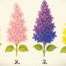 Testul Florii cu miros de Rai: Alege liliacul preferat și îți vom spune ce îți aduce fericirea în suflet în perioada următoare