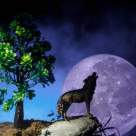 Ziua Sfantului Andrei - sarbatoarea magiei, a strigoilor si a descantecelor de dragoste