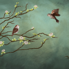 Fiecare cu Cerul lui