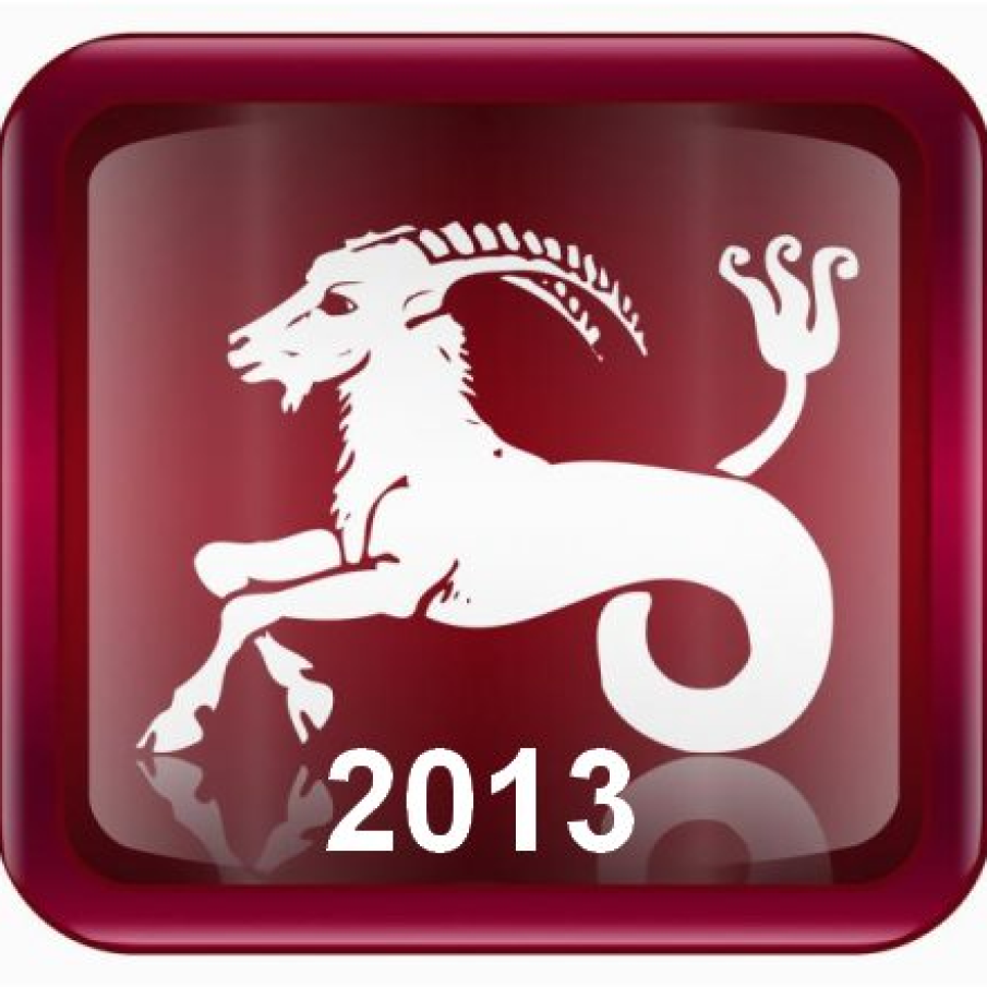 Horoscop 2013 Capricorn