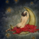 Fazele lunii si ciclul menstrual. Cine este Zeita ta protectoare?