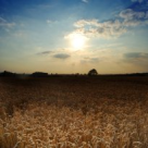 Dincolo de perceptia umana