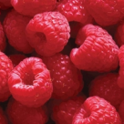 Antioxidantii, reteta pentru viata 