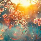 Renaștem din suferință, la fel cum natura renaște Primăvara