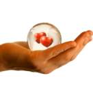 Secretele de iubire ale lui 2011 in Horoscopul Italian