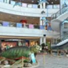 Expozitie de monstri marini la Plaza Romania