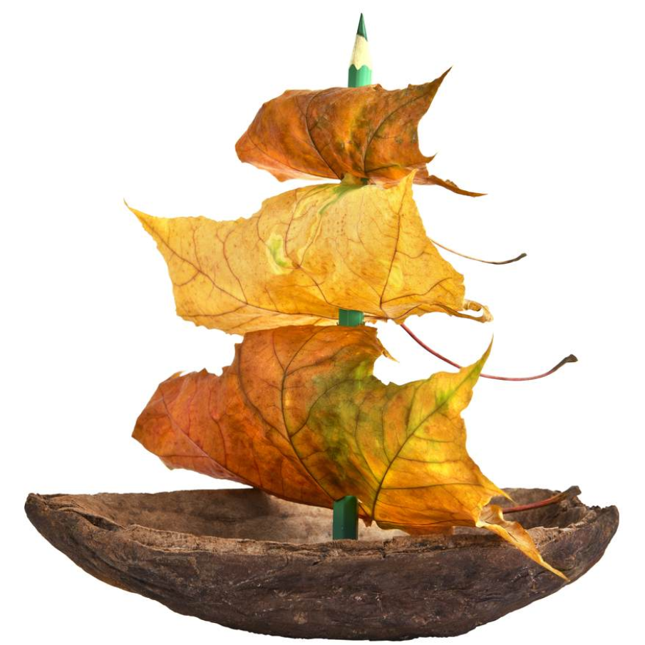 Corabia cu panze din frunze 