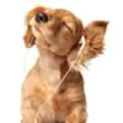 Efectele vindecatoare ale muzicii