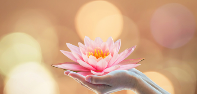 Ce iti transmite aceasta imagine?