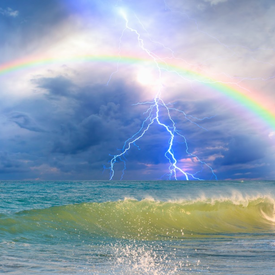 Un trio fără cuvinte, o dezlănțuire a tuturor posibilităților naturii în același timp